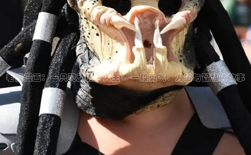 51漫画官网免费网页版进入