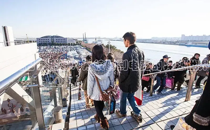 51动漫官网官方进入版本网页在线